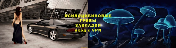 соль ск Абаза