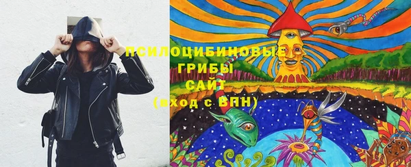соль ск Абаза