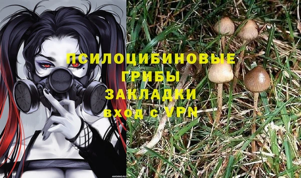 соль ск Абаза