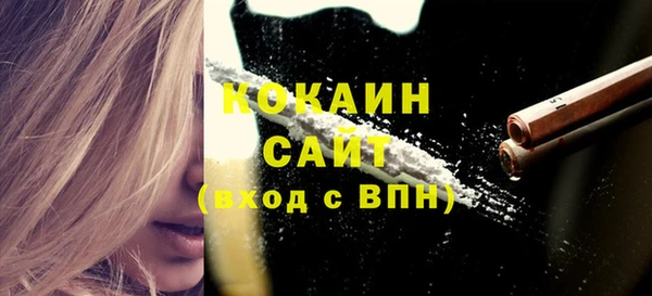 соль ск Абаза